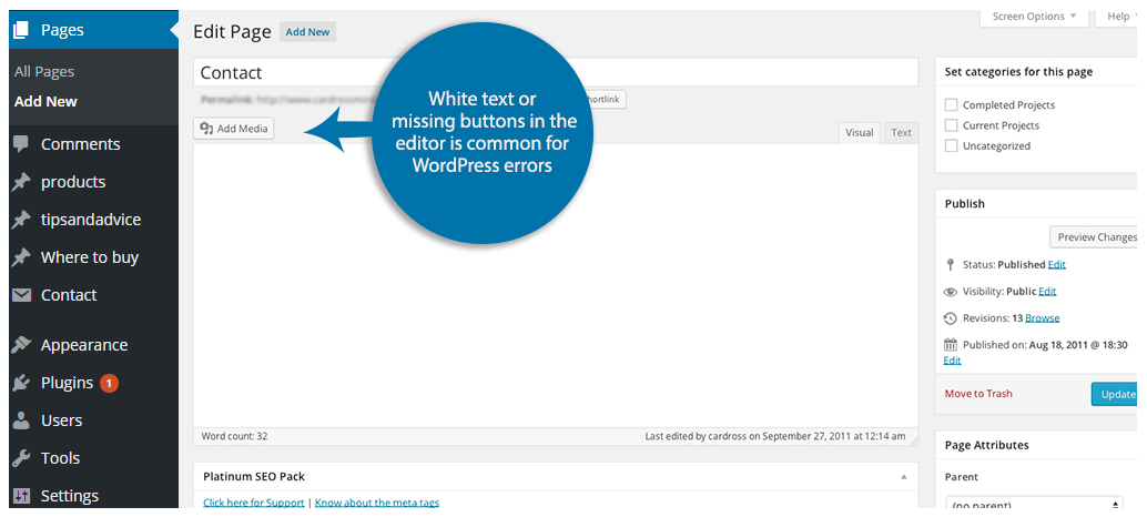 White Text And Missing Buttons In WordPress