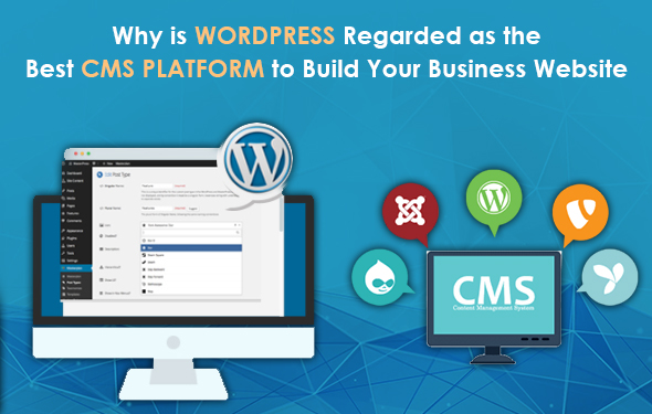 Make Use of WordPress Website Development in Dubai-4