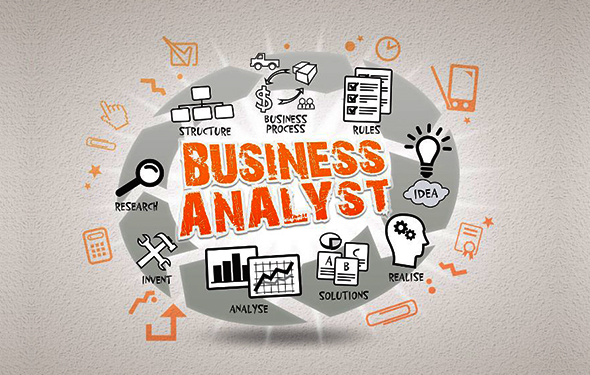 The Roles of a Business Analyst