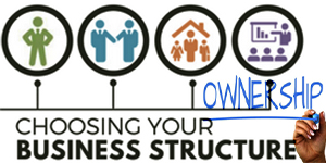 Business Structure